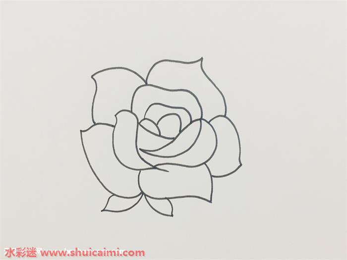 盛开玫瑰花怎么画 盛开玫瑰花简笔画步骤图