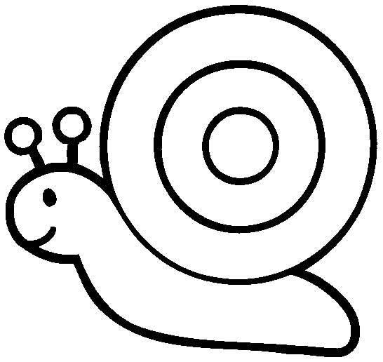 幼儿园简笔画图片大全图片 幼儿园简笔画大全图片大全小班