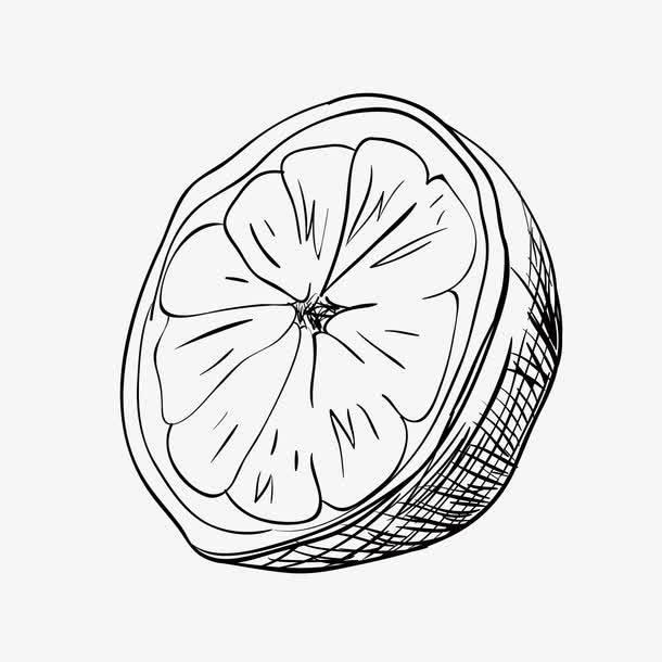橘子简笔画 橘子简笔画图片