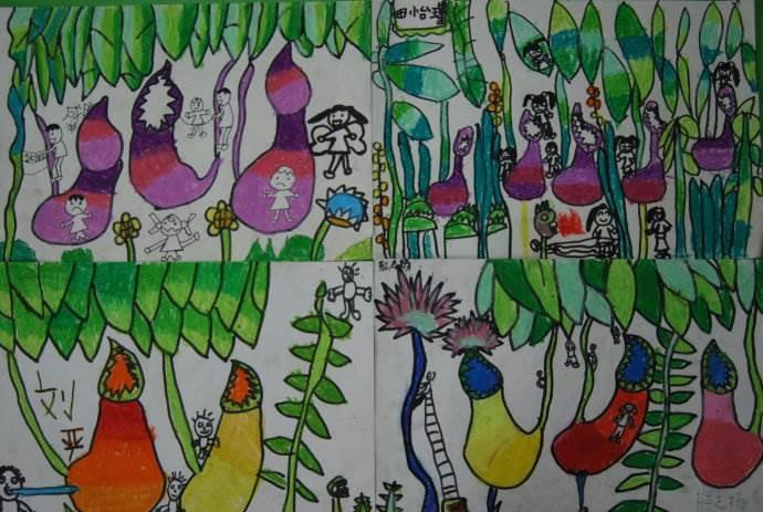 猪笼草简笔画图片大全 猪笼草简笔画绘画图片