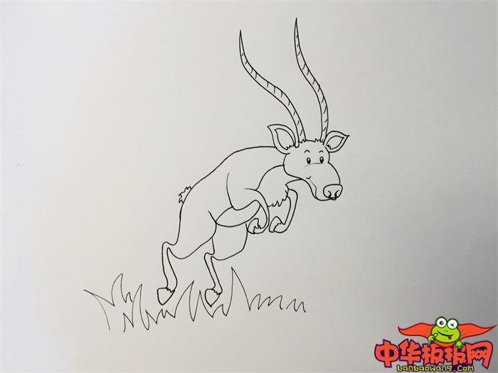 羚羊怎么画 羚羊简笔画简单又漂亮彩色
