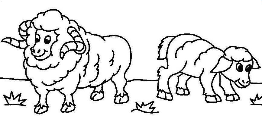 山羊简笔画 山羊简笔画彩色