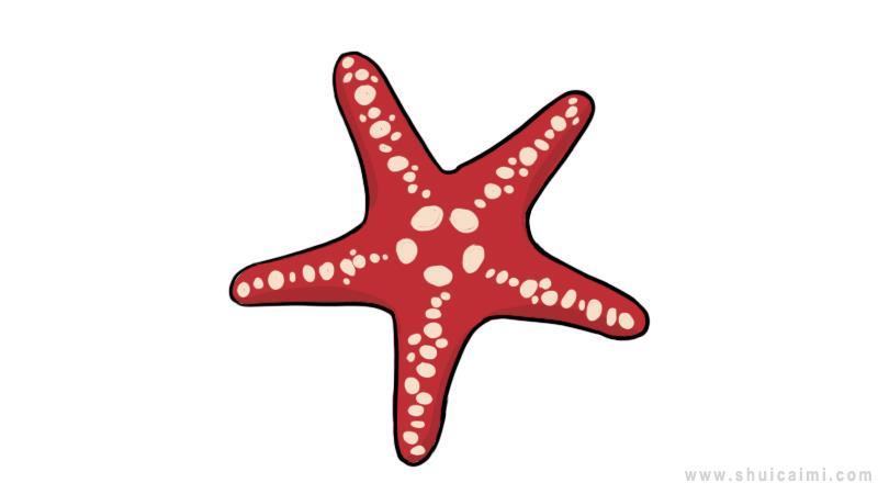 海星简笔画怎么画 海星简笔画好看