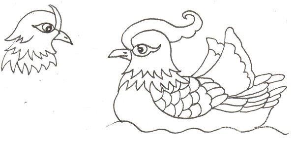 鸳鸯的简笔画怎么画 鸳鸯的简笔画简单又好看