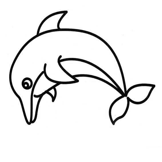 海豚简笔画 海豚简笔画简单
