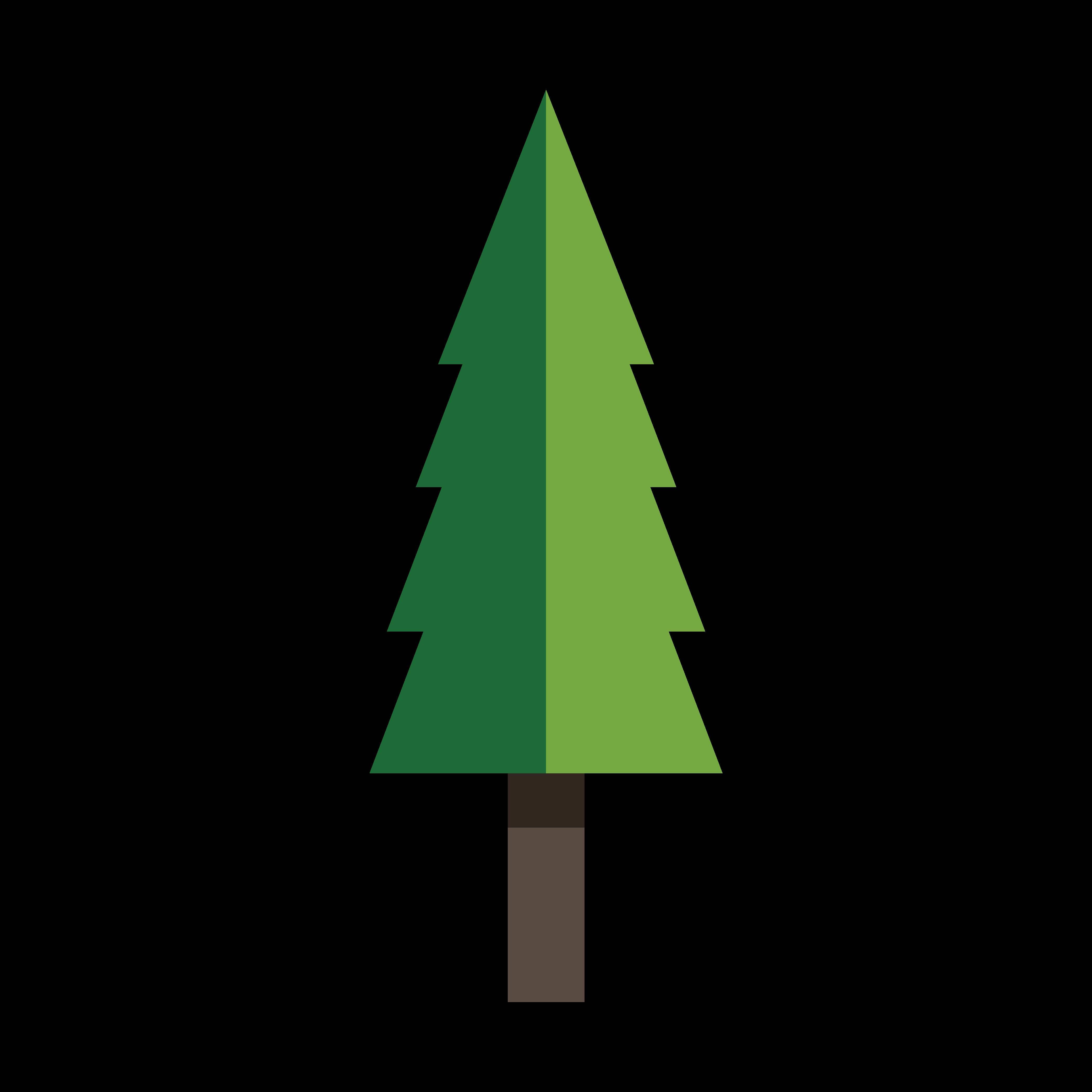 松树的简笔画图片大全 松树的简笔画图片大全大图