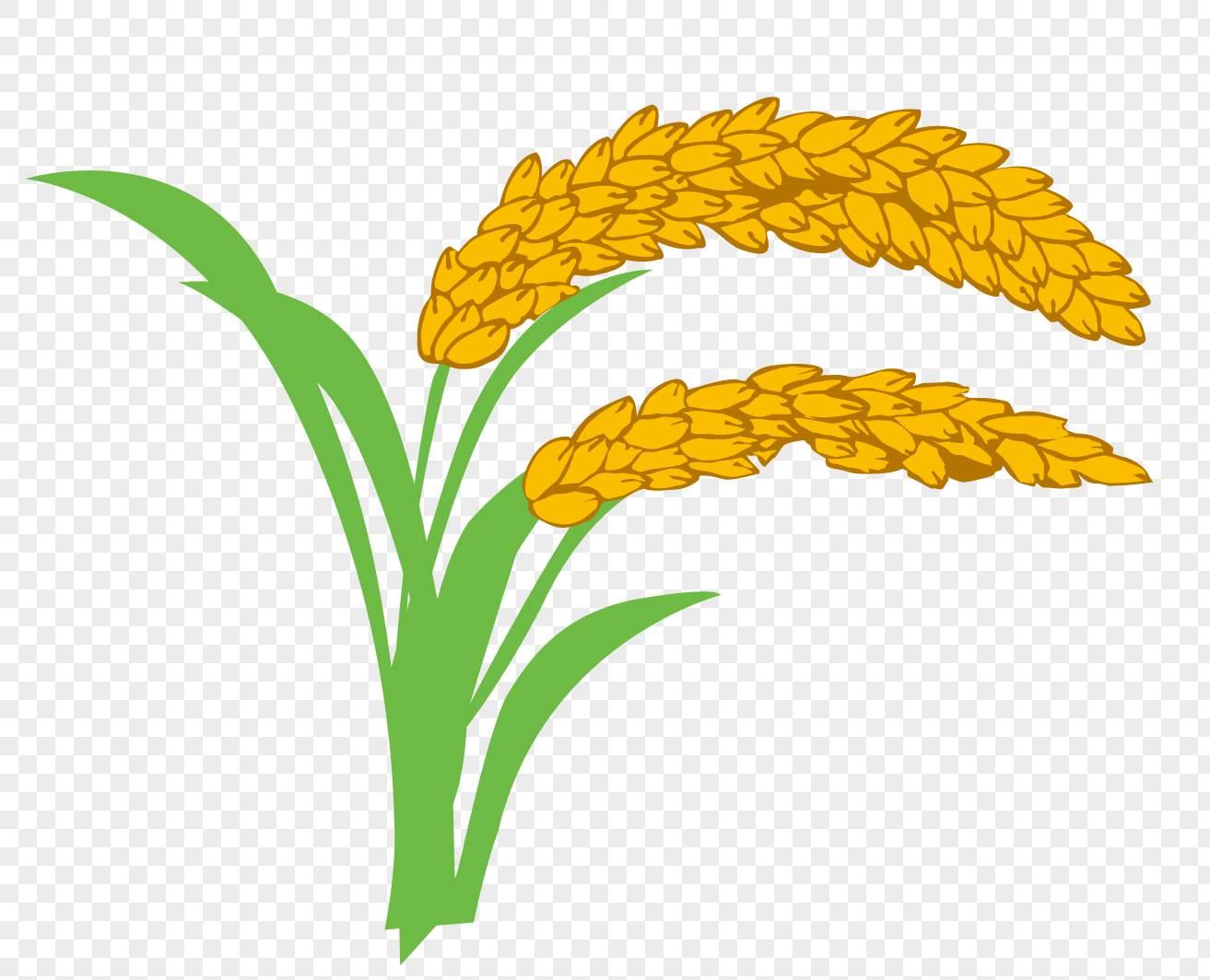 粮食简笔画 粮食简笔画图片