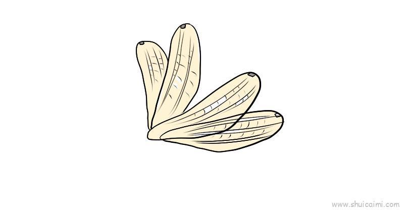 蜻蜓的翅膀怎么画？（蜻蜓翅膀简笔画教程）