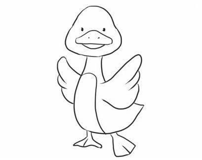 鸭的简笔画图片大全 鸭的简笔画图片大全彩色