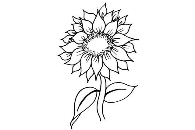 简笔画向日葵