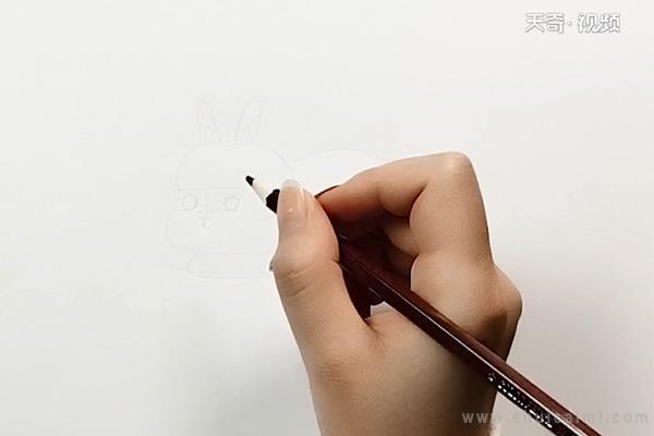 白兔简笔画怎么画 白兔简笔画画法