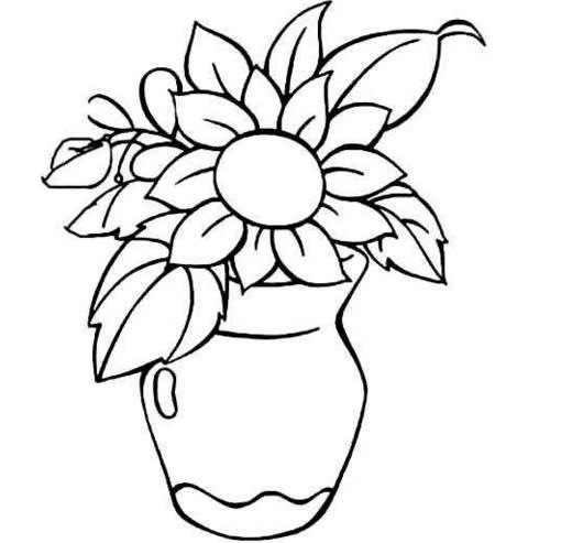 花瓶简笔画图片大全 幼儿园花瓶简笔画图片大全