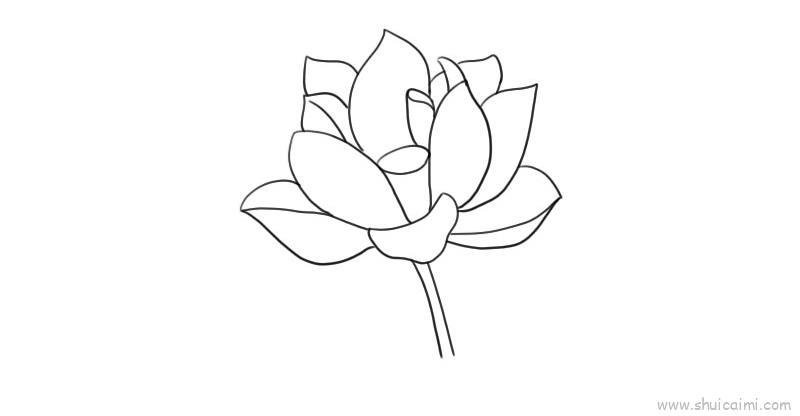 荷花儿童画怎么画 荷花简笔画顺序