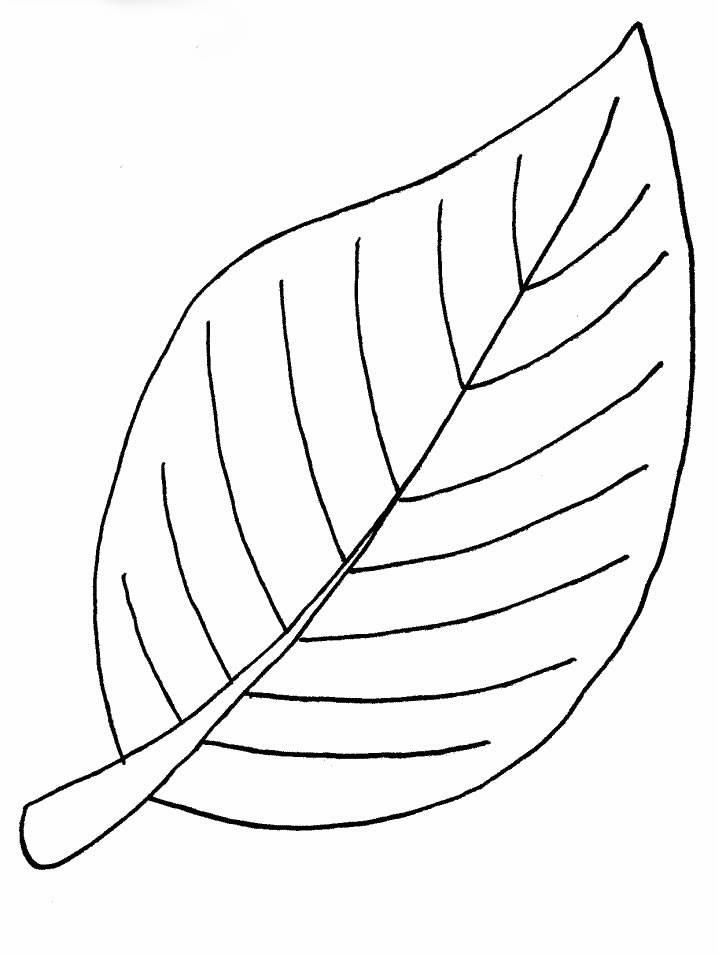 树叶简笔画 树叶简笔画简单又好看