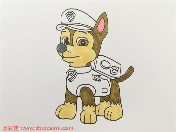 汪汪队的阿奇怎么画 威力狗阿奇彩色简笔画一步一步