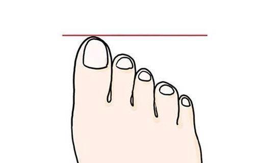 脚的简笔画图片大全 脚的简笔画图片大全可爱