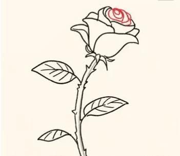 玫瑰花简笔画图片大全 玫瑰花简笔画图片大全大图简单