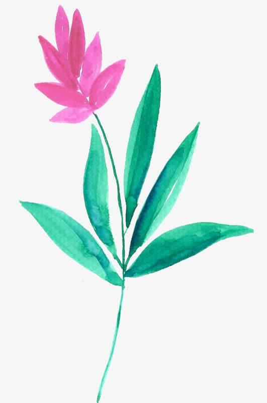 兰花简笔画图片大全 兰花简笔画图片大全带颜色