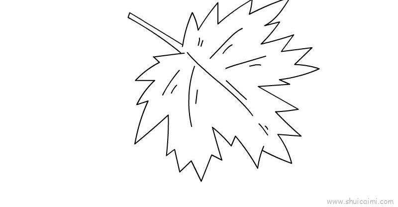 树叶儿童画怎么画 树叶简笔画图片