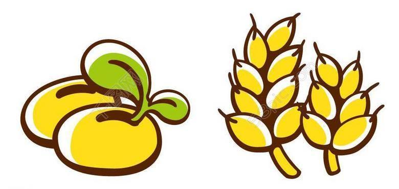粮食简笔画 粮食简笔画图片