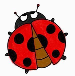 瓢虫简笔画 瓢虫简笔画儿童画