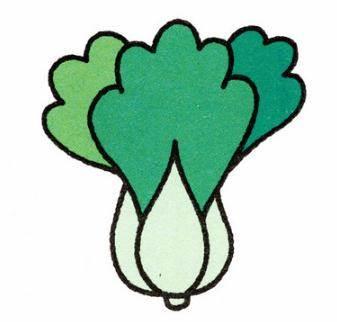 白菜简笔画 白菜简笔画图片带颜色