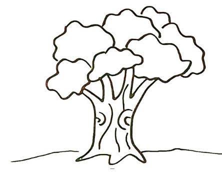 榕树简笔画 榕树简笔画图片带颜色