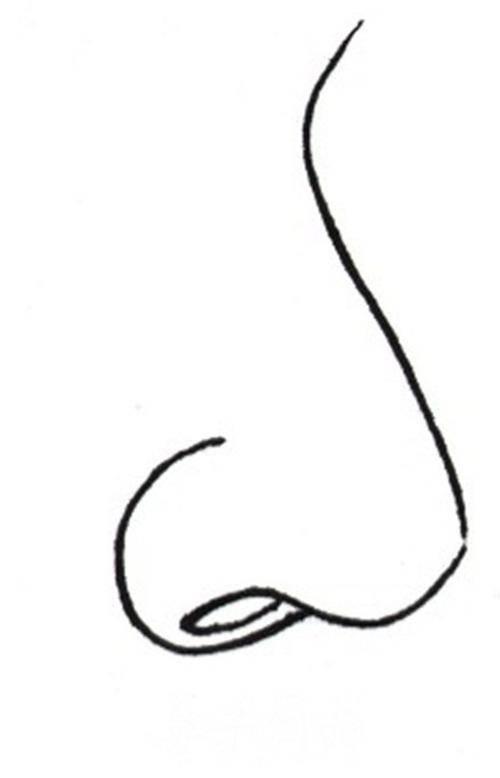 鼻子简笔画 鼻子简笔画卡通可爱