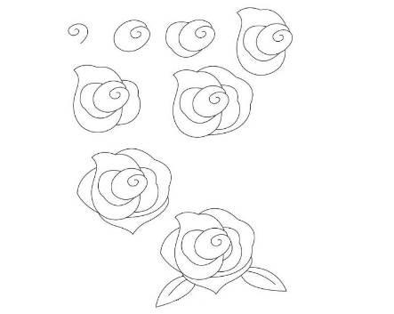 玫瑰花简笔画图片大全 玫瑰花简笔画图片大全大图简单