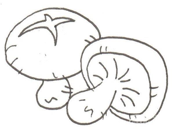 香菇的简笔画怎么画 香菇的简笔画画法