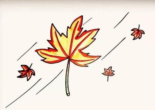 枫树简笔画 枫树简笔画图片大全大图