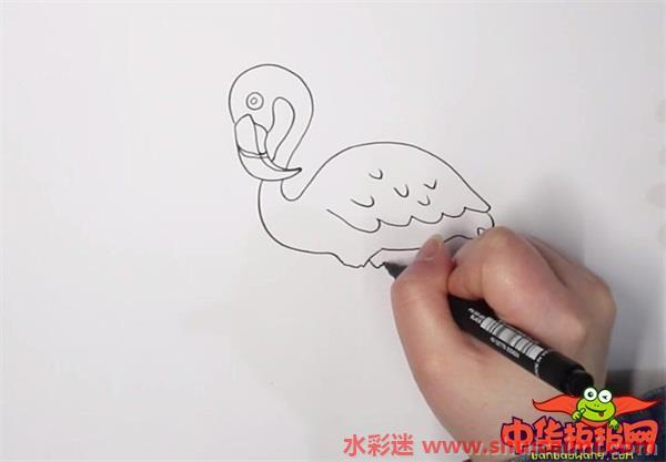 火烈鸟怎么画 火烈鸟简笔画简单彩色