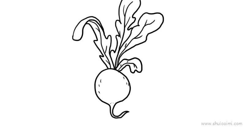 红萝卜儿童画怎么画 红萝卜简笔画图片