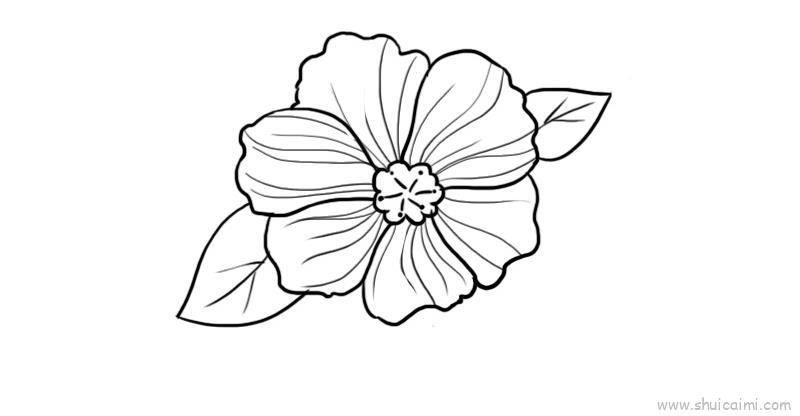 花瓣儿童画怎么画 花瓣简笔画简单