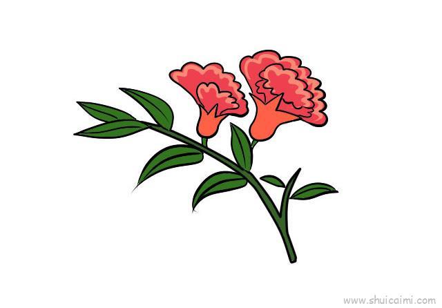 石榴花儿童画怎么画 石榴花简笔画简单又好看