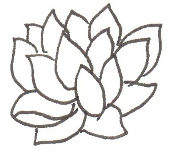 多肉的简笔画怎么画 多肉的简笔画图片