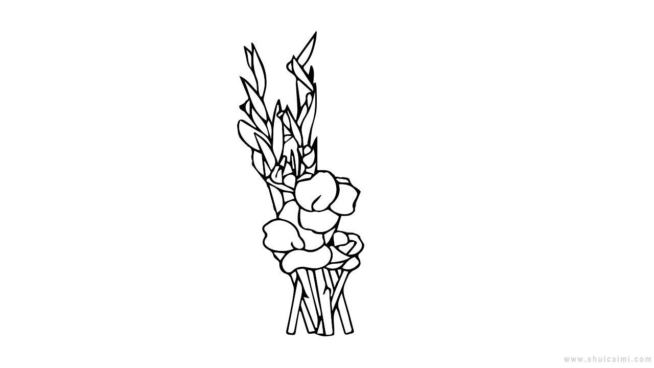 剑兰简笔画怎么画 剑兰简笔画简单