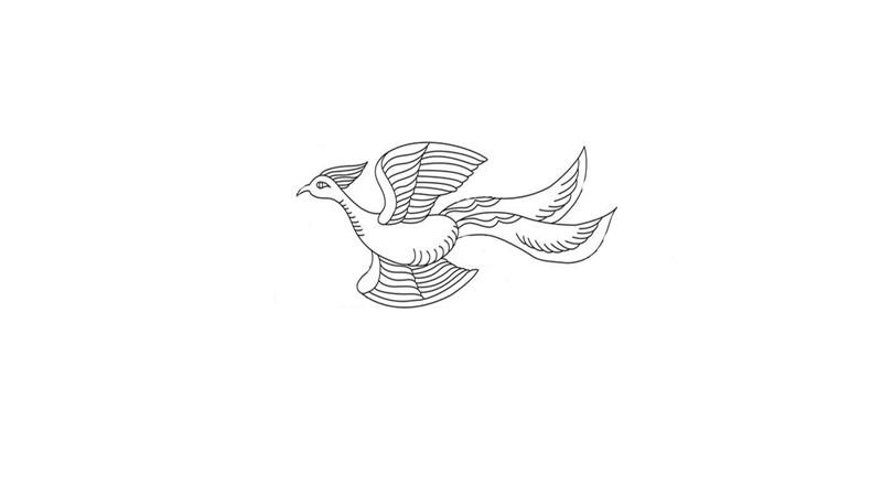 凤凰简笔画怎么画 凤凰简笔画顺序