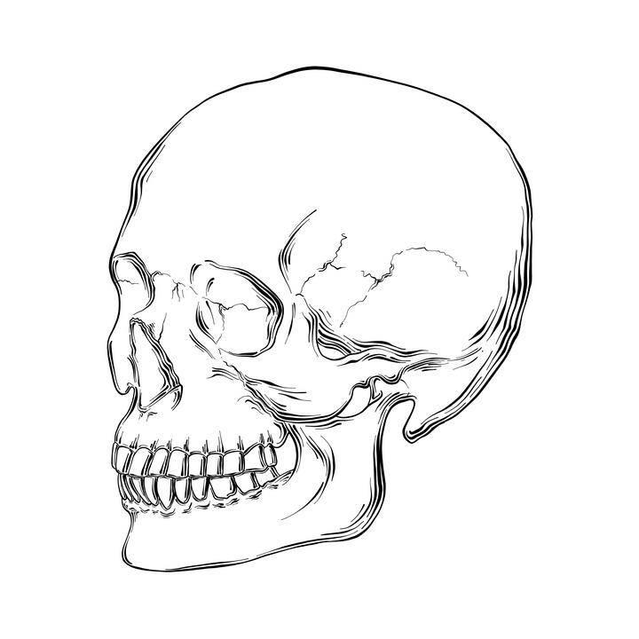 骷髅简笔画 骷髅简笔画全身