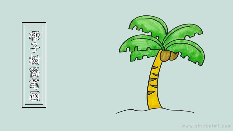 椰子树简笔画怎么画 椰子树简笔画好看