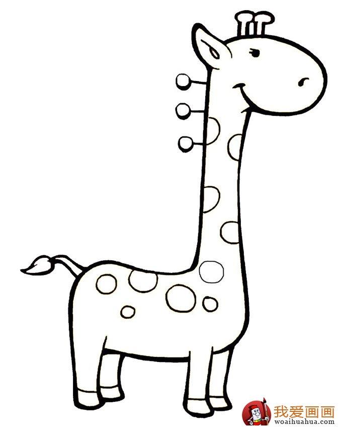 幼儿图片大全卡通小动物超可爱简笔画怎么画 幼儿图片大全卡通小动物超可爱简笔画步骤