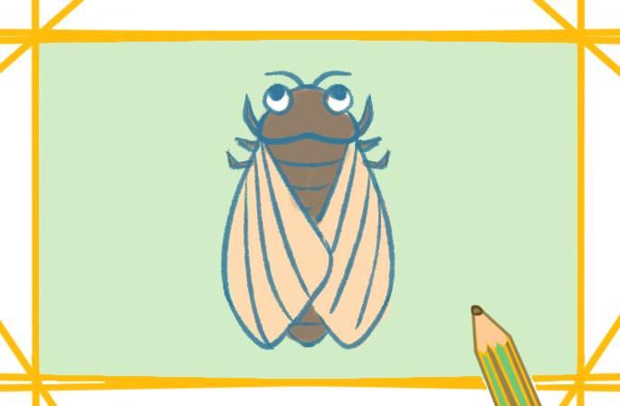 知了简笔画 知了简笔画图片