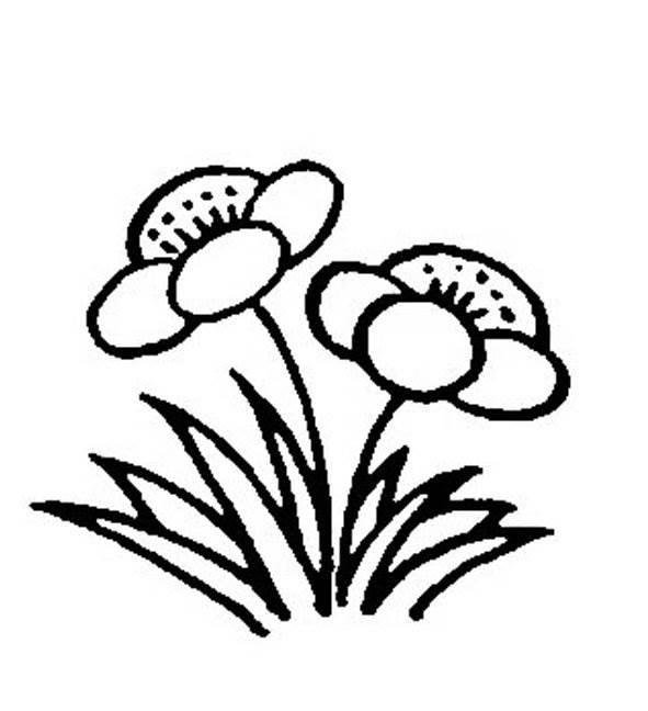 儿童线条简笔画 儿童线条简笔画彩色