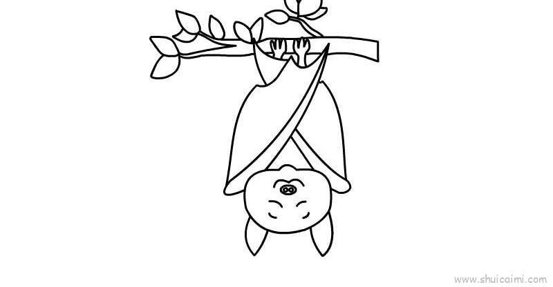 蝙蝠儿童画怎么画 蝙蝠简笔画图片大全