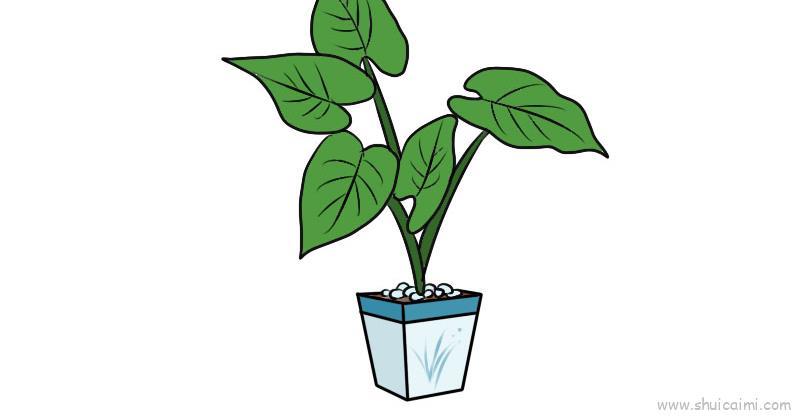 滴水观音儿童画怎么画 滴水观音简笔画简单又好看