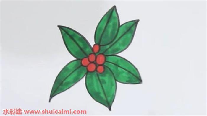 冬青怎么画 冬青简笔画漂亮卡通