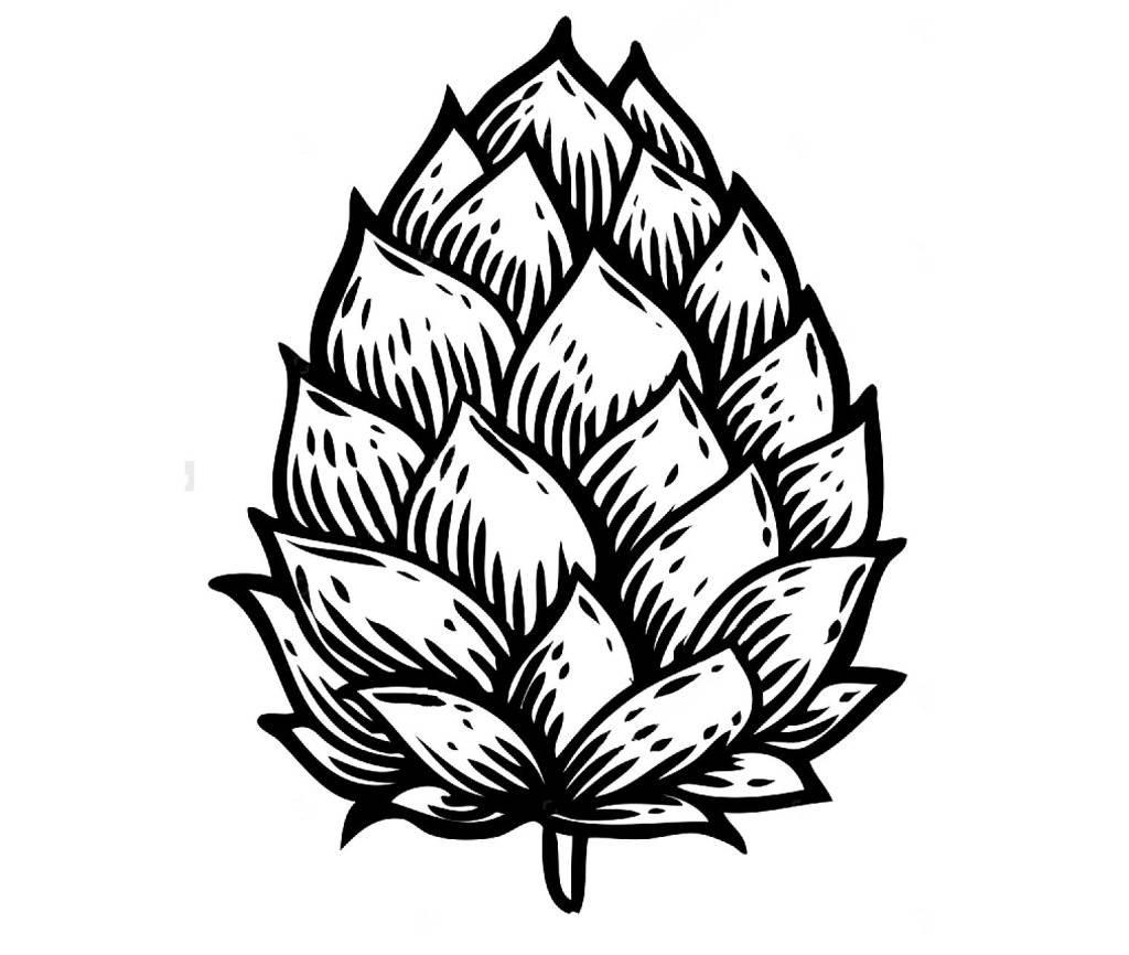 松果简笔画 松果简笔画图片