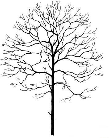 冬天的树简笔画 冬天的树简笔画幼儿园小班