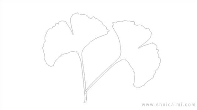 银杏叶简笔画怎么画 银杏叶简笔画顺序