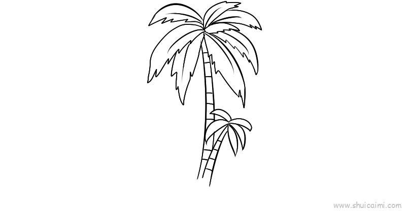 椰树儿童画怎么画 椰树简笔画顺序
